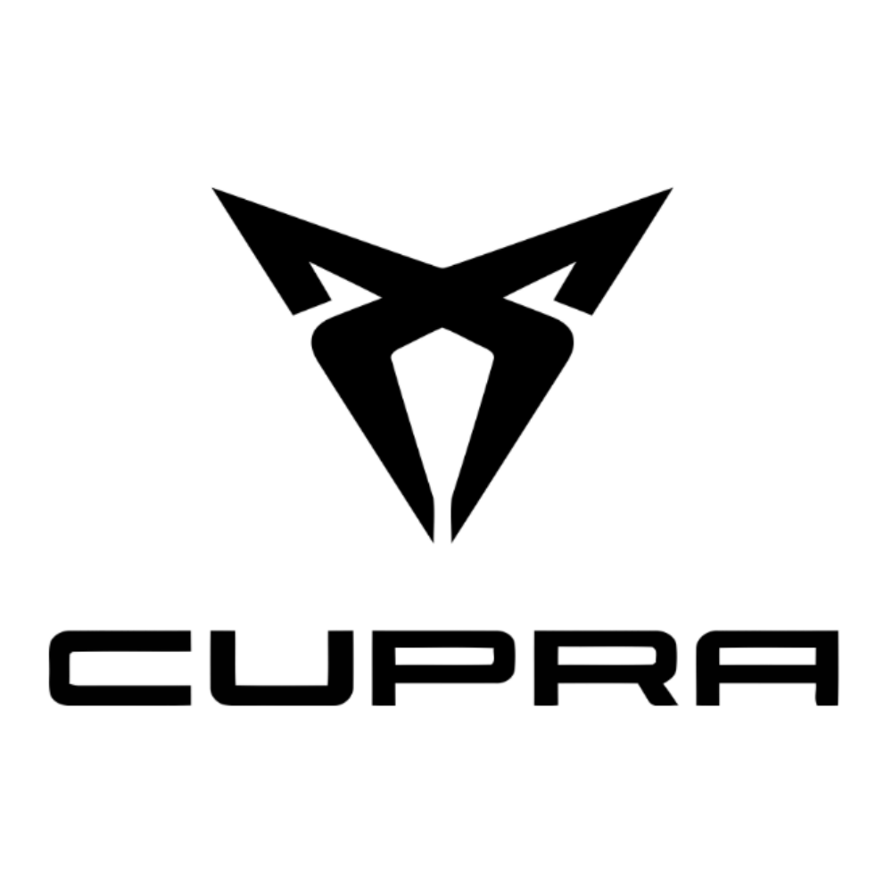 EV Charging Cables and Chargers for Cupra