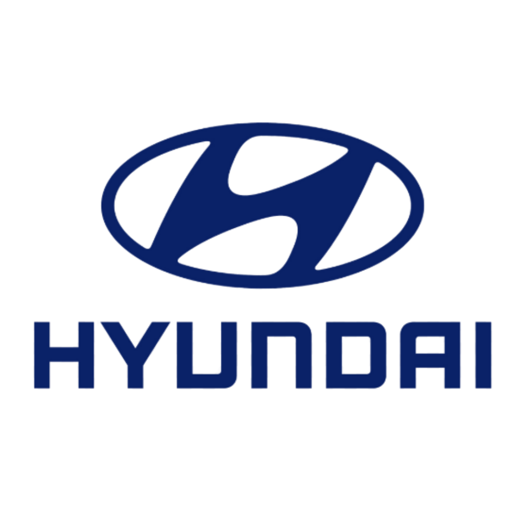 EV Charging Cables and Chargers for Hyundai