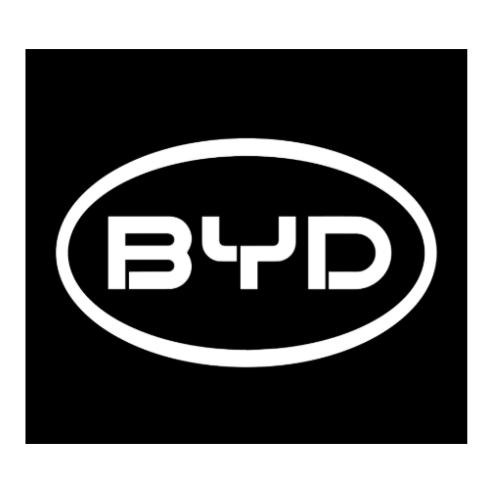 EV chargers for BYD EVs