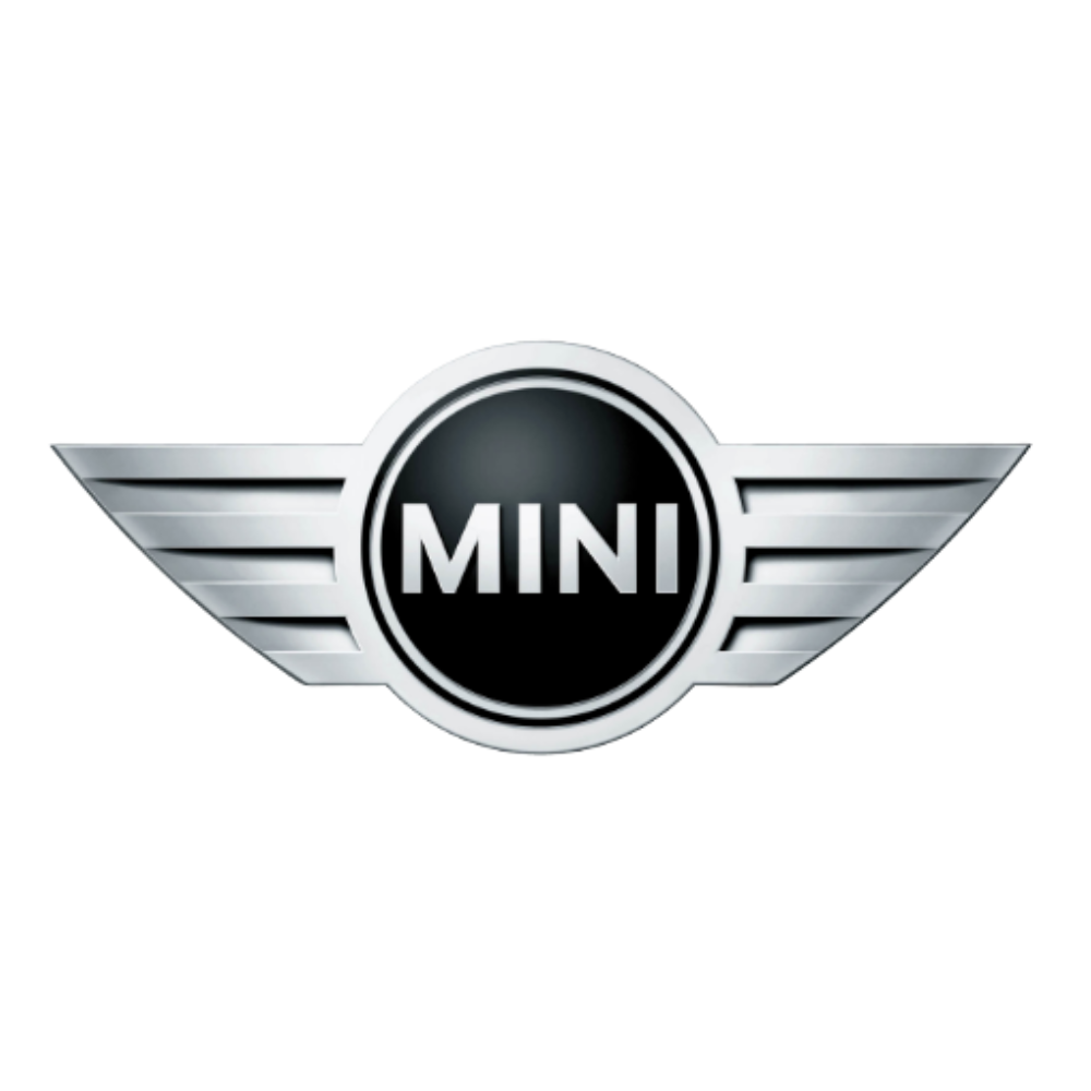 EV Charging Cables and Chargers for Mini