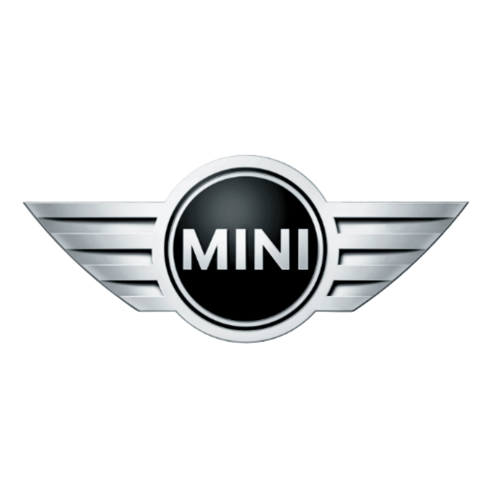 ev-cables-and-chargers-for-mini-2565047.png?v=1751634107